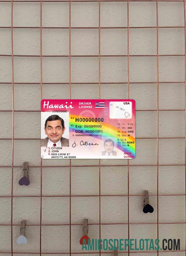 Hawaii DL fotovisual frontal exemplo real